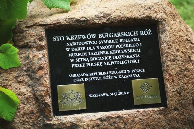 Plaque